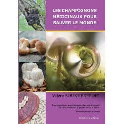 Les champignons médicinaux...