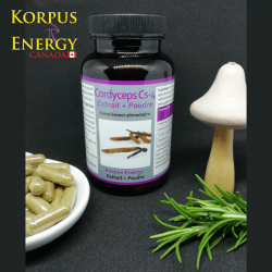 Cordyceps - 60 capsules