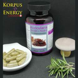 Auricularia - 120 capsules