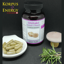 Shiitake - 120 capsules