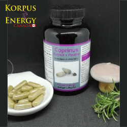 Coprinus - 120 capsules