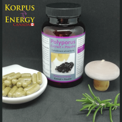 Polyporus - 120 capsules