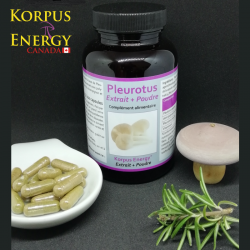 Pleurotus - 120 capsules