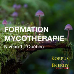 Formation niveau 1 - Tout public et thérapeutes