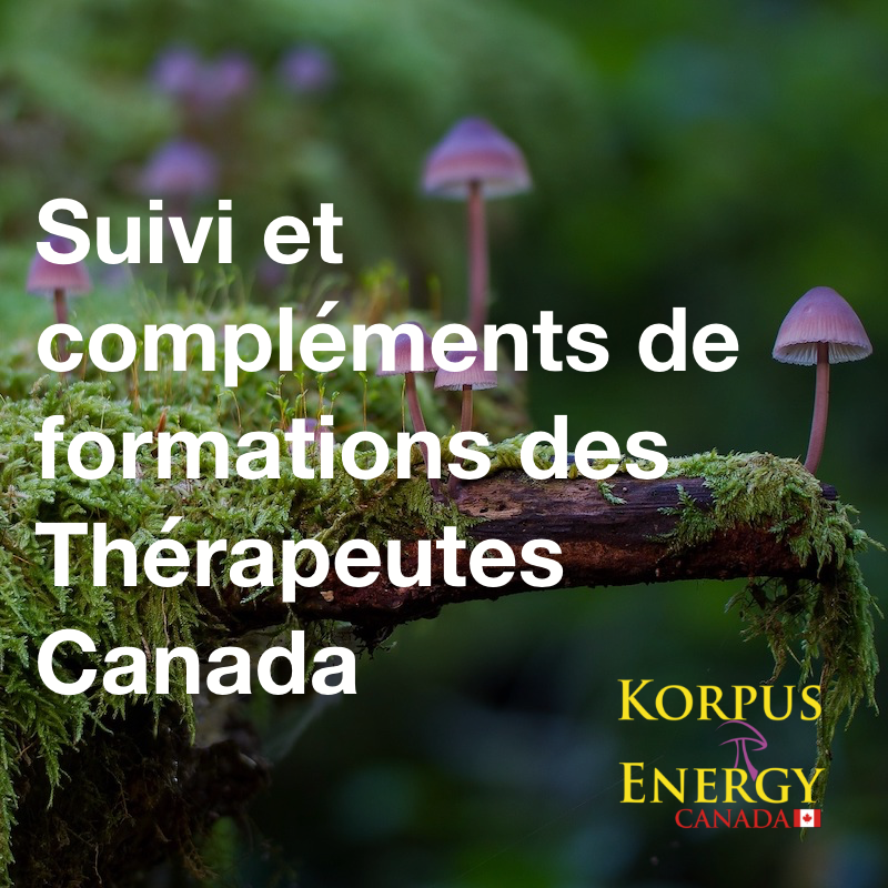 Follow-up and additional training for Therapists Canada