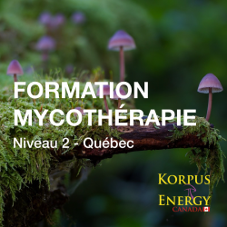 Formation niveau 2 -...